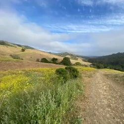Wildcat Canyon Regional Park - El Cerrito