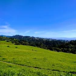Wildcat Canyon Regional Park - El Cerrito