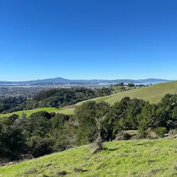 Wildcat Canyon Regional Park - El Cerrito