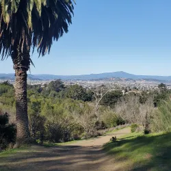 Wildcat Canyon Regional Park - El Cerrito