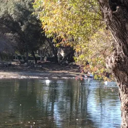 Cameron Park Lake - El Dorado Hills