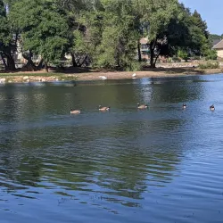 Cameron Park Lake - El Dorado Hills