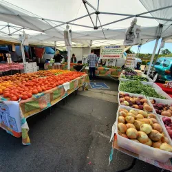 El Dorado Hills Town Center - El Dorado Hills