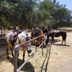 Granite Bay Trail - El Dorado Hills