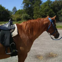 Granite Bay Trail - El Dorado Hills