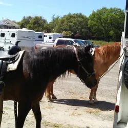 Granite Bay Trail - El Dorado Hills