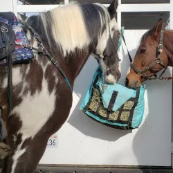 Granite Bay Trail - El Dorado Hills