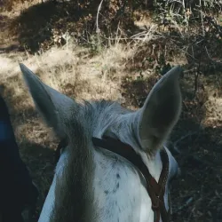 Granite Bay Trail - El Dorado Hills