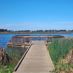 Cosumnes River Preserve - Elk Grove