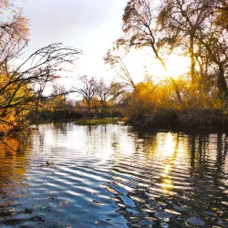 Cosumnes River Preserve - Elk Grove