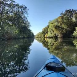 Cosumnes River Preserve - Elk Grove