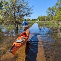 Cosumnes River Preserve - Elk Grove
