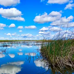 Cosumnes River Preserve - Elk Grove