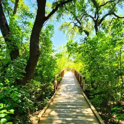 Cosumnes River Preserve - Elk Grove