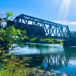 Cosumnes River Preserve - Elk Grove