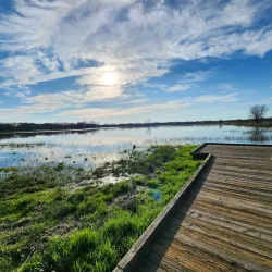 Cosumnes River Preserve - Elk Grove