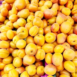 Elk Grove Farmers Market - Elk Grove