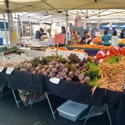 Elk Grove Farmers Market - Elk Grove