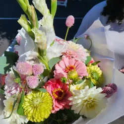 Elk Grove Farmers Market - Elk Grove