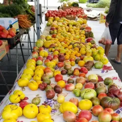 Elk Grove Farmers Market - Elk Grove
