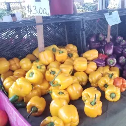 Elk Grove Farmers Market - Elk Grove