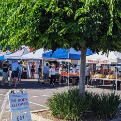 Elk Grove Farmers Market - Elk Grove