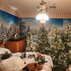 Elk Grove Historical Museum - Elk Grove