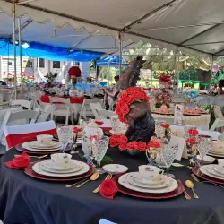 Elk Grove Historical Museum - Elk Grove