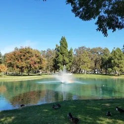 Elk Grove Regional Park - Elk Grove