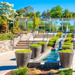 Hagan Community Park - Elk Grove