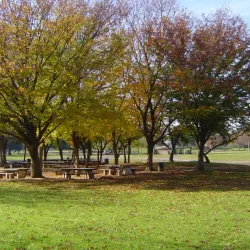 Hagan Community Park - Elk Grove
