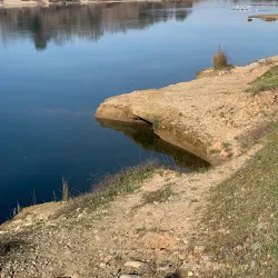 Hagan Community Park - Elk Grove