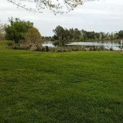 Laguna Creek Trail - Elk Grove