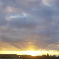 Laguna Creek Trail - Elk Grove