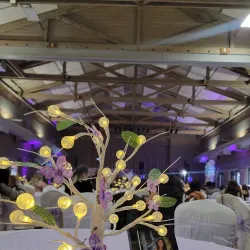 Laguna Town Hall Community Center - Elk Grove