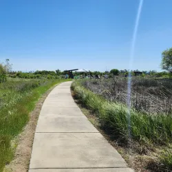 Stone Lakes National Wildlife Refuge - Elk Grove