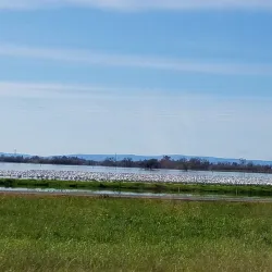Stone Lakes National Wildlife Refuge - Elk Grove