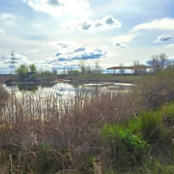 Stone Lakes National Wildlife Refuge - Elk Grove