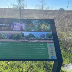 Stone Lakes National Wildlife Refuge - Elk Grove