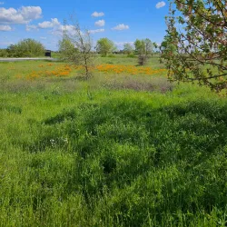 Stone Lakes National Wildlife Refuge - Elk Grove