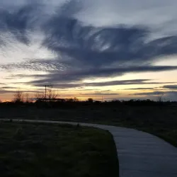 Stone Lakes National Wildlife Refuge - Elk Grove