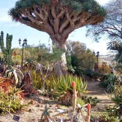 San Diego Botanic Garden - Encinitas