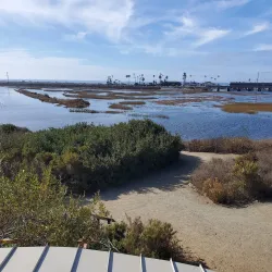 San Elijo Lagoon Ecological Reserve - Encinitas