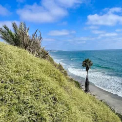 Swami's Beach - Encinitas