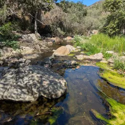 Elfin Forest Recreational Reserve - Escondido