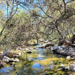 Elfin Forest Recreational Reserve - Escondido