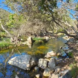 Elfin Forest Recreational Reserve - Escondido