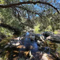 Elfin Forest Recreational Reserve - Escondido