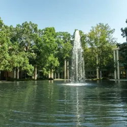 Grape Day Park - Escondido