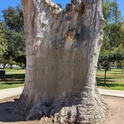 Grape Day Park - Escondido